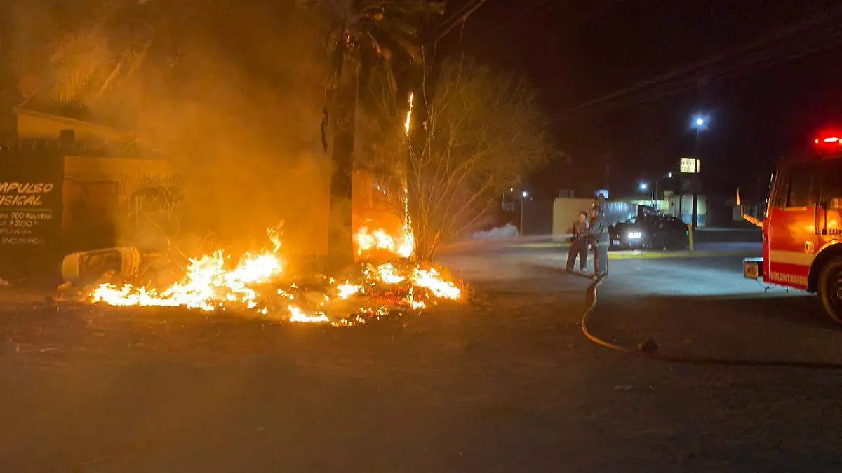 Una palmera y un poste de Telnor, resultaron afectados por incendio a un montículo de basura, a la altura del callejón Obregón y calle 21, colonia Residencias hoy en la madrugada.